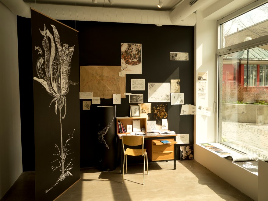 Oversiktsbilde av «Finding Sáivu» i Bodø Kunstforening vindusgalleriet